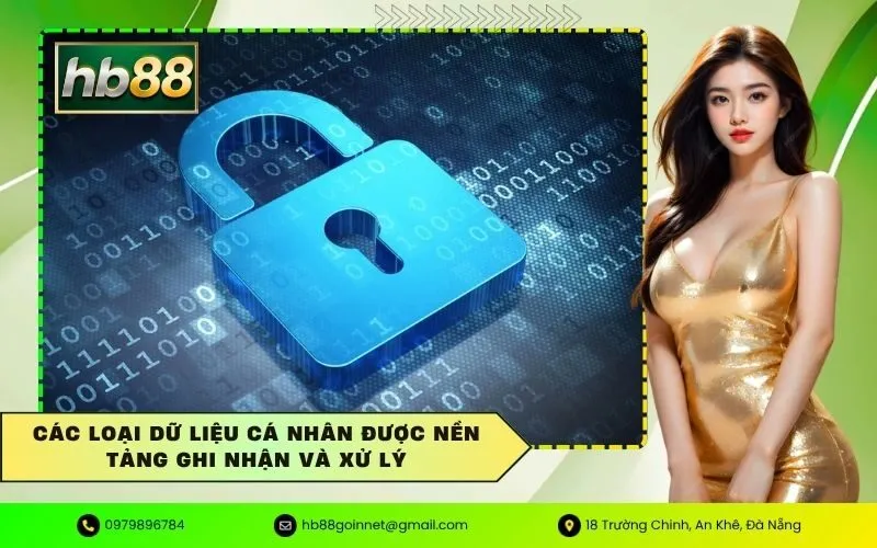 Các loại dữ liệu cá nhân được nền tảng ghi nhận và xử lý