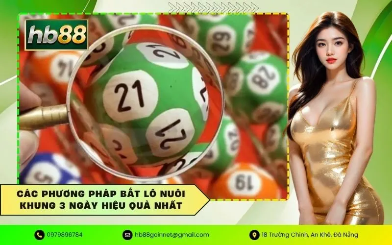 Các phương pháp bắt lô nuôi khung 3 ngày hiệu quả nhất