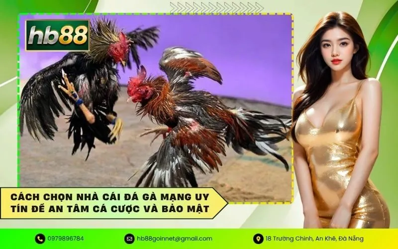 Cách chọn nhà cái đá gà mạng uy tín để an tâm cá cược và bảo mật