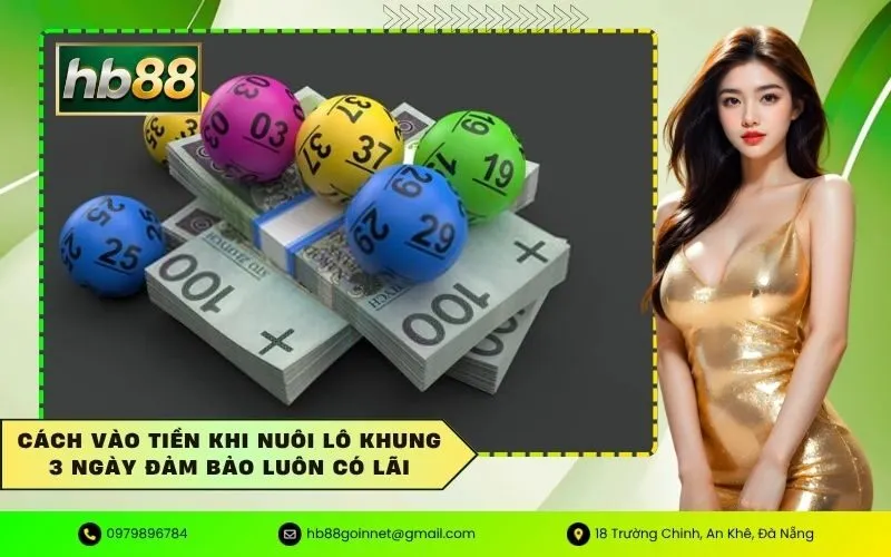 Cách vào tiền khi nuôi lô khung 3 ngày đảm bảo luôn có lãi