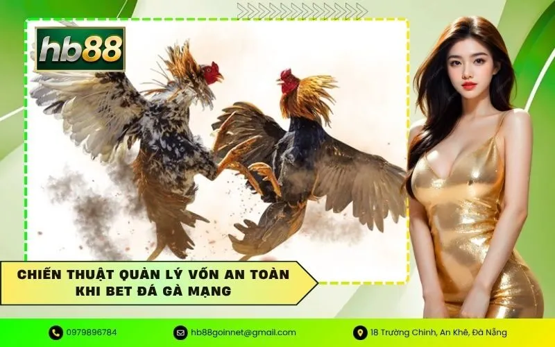Chiến thuật quản lý vốn an toàn khi bet đá gà mạng