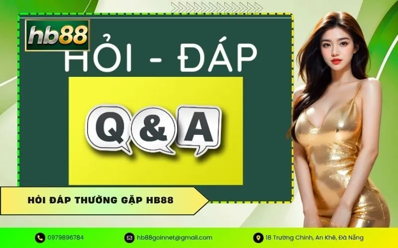 Hỏi Đáp