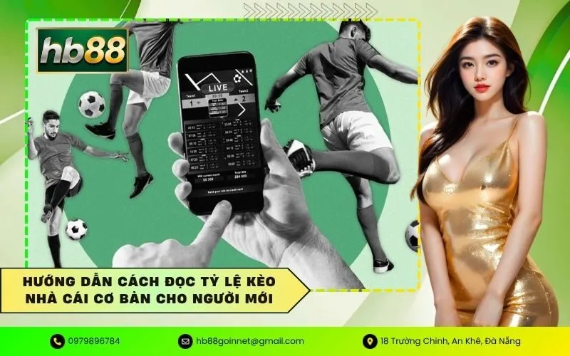 Hướng dẫn cách đọc tỷ lệ kèo nhà cái cơ bản cho người mới