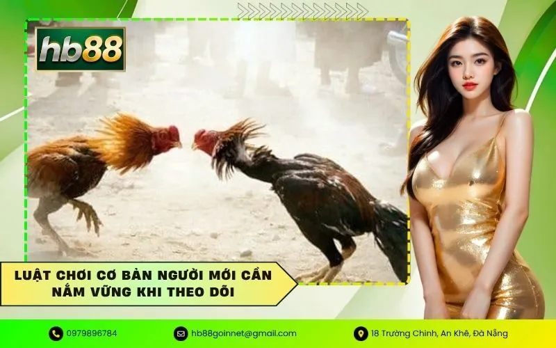 Luật chơi cơ bản người mới cần nắm vững khi theo dõi