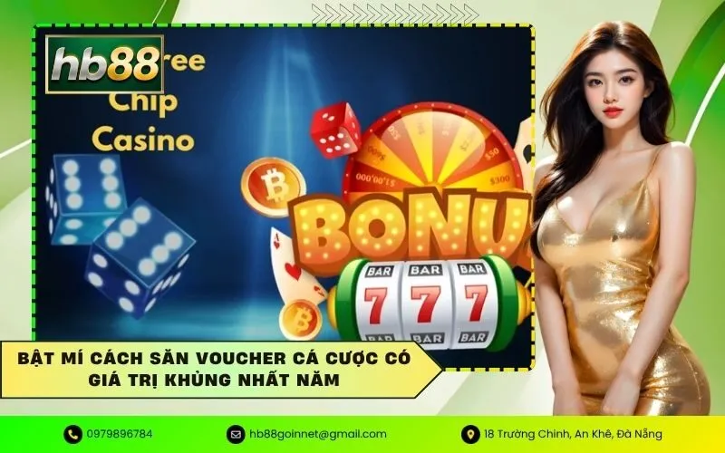 Săn voucher cá cược